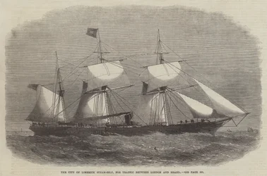 The City of Limerick Steam-Ship, for Traffic between London and Brazil